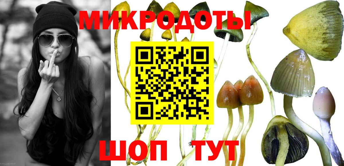 Рузаевка  Псилоцибиновые грибы GOLDEN TEACHER  Псилоцибиновые грибы GOLDEN TEACHER  Вход с VPN 